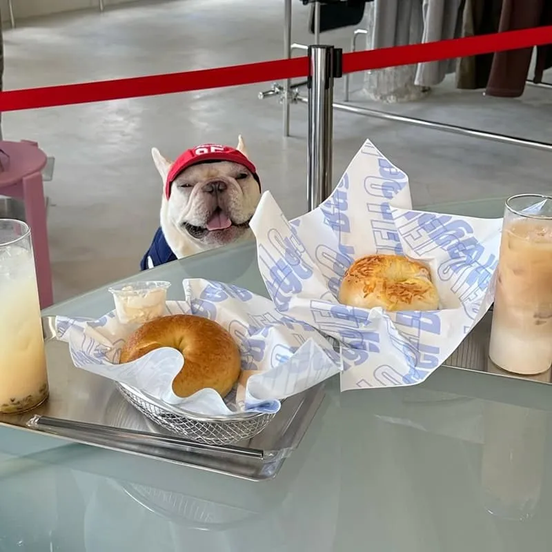 Jello Bagel 新竹貝果