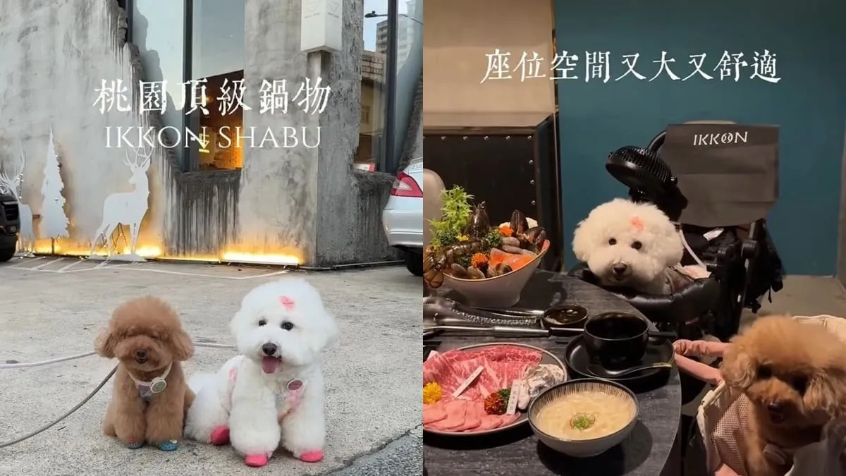 Ikkon Shabu桃園鍋物