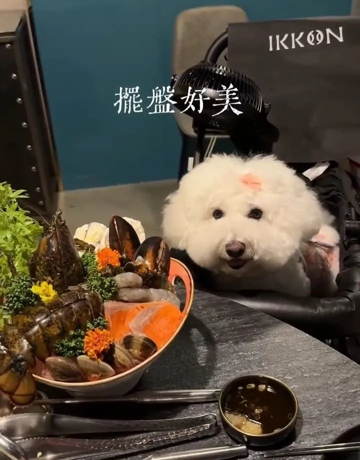 Ikkon Shabu桃園鍋物