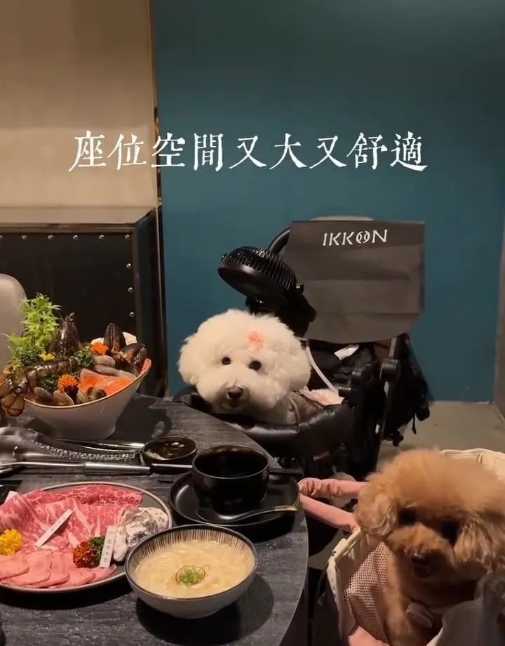 Ikkon Shabu桃園鍋物