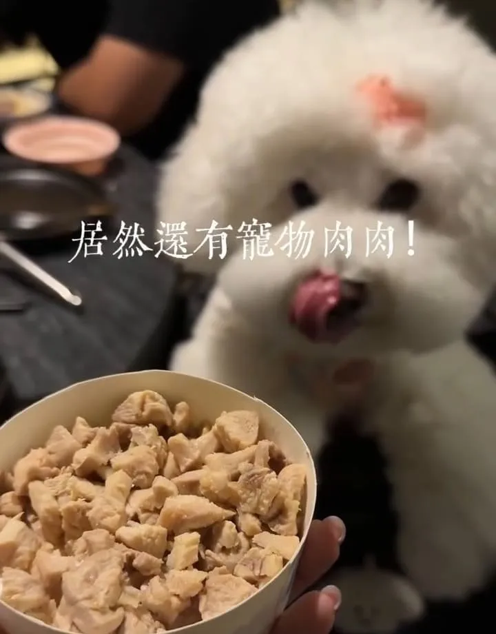 Ikkon Shabu桃園鍋物