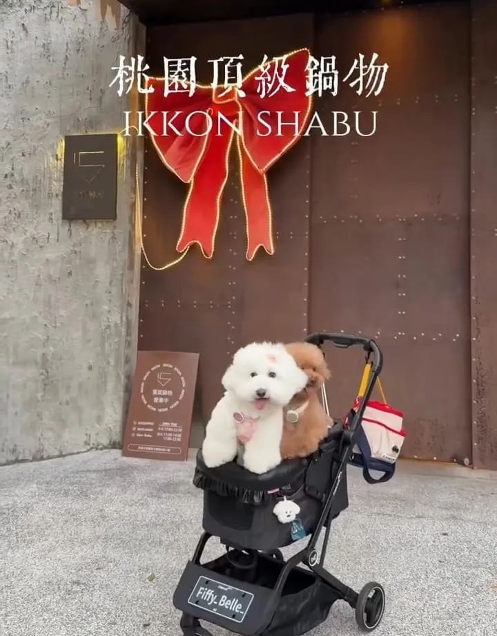 Ikkon Shabu桃園鍋物