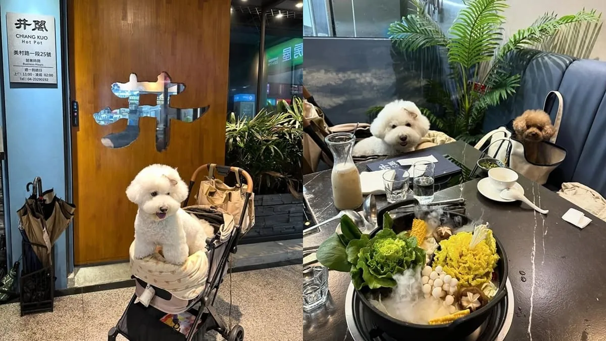 台中井閣鍋物美村店