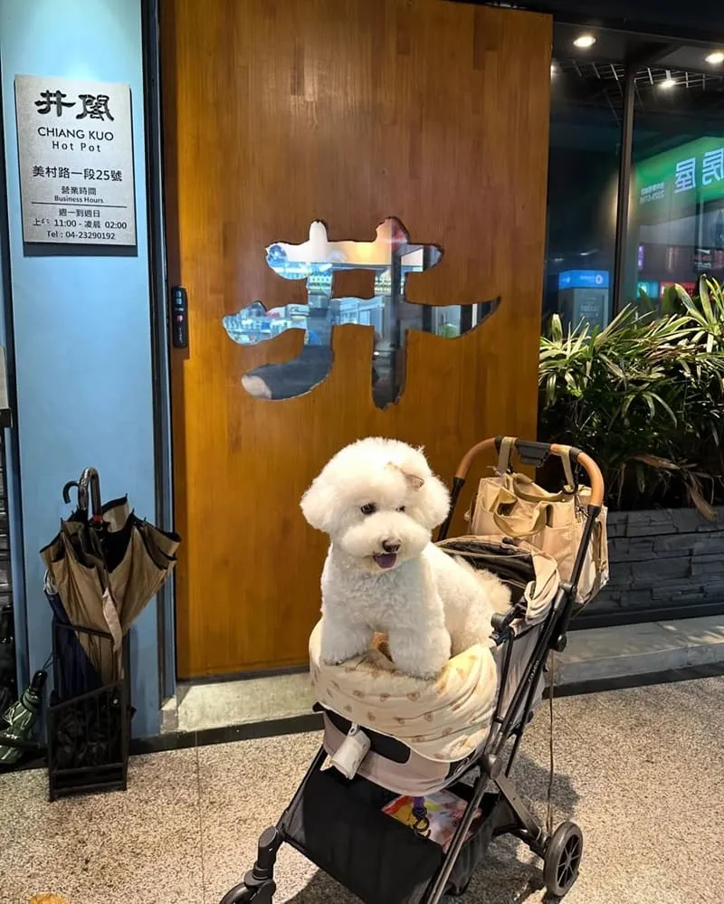 台中井閣鍋物美村店