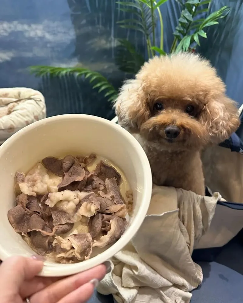 台中井閣鍋物美村店