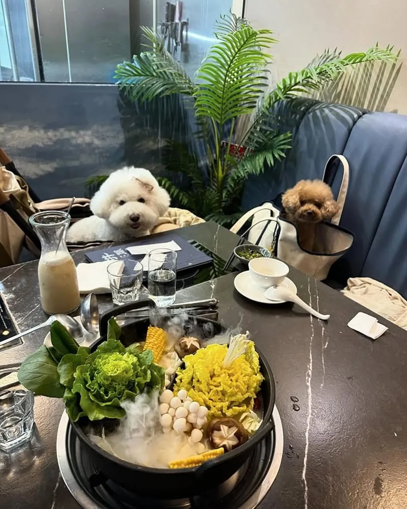 台中井閣鍋物美村店