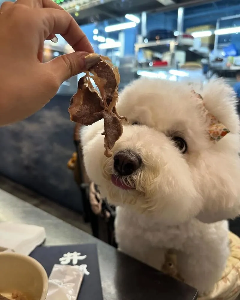 台中井閣鍋物美村店