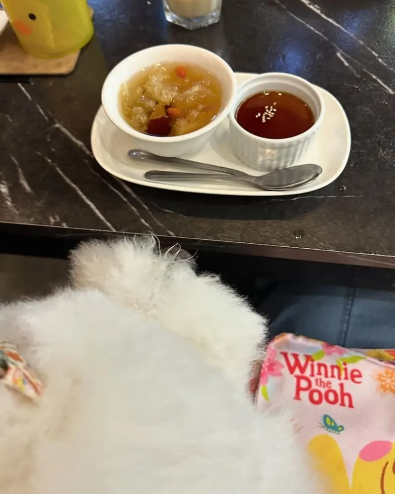 台中井閣鍋物美村店