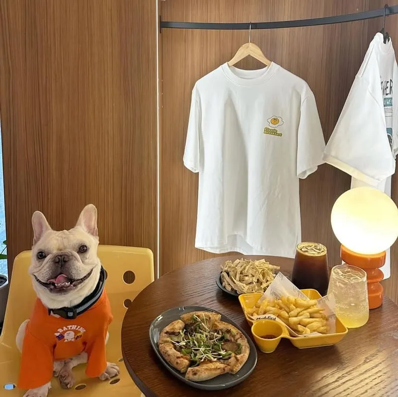Nertified Club 披薩咖啡館
