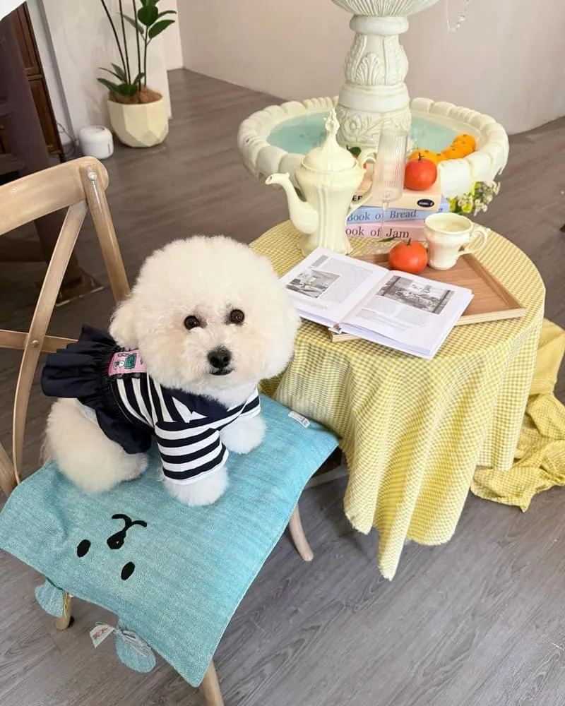 杦窩Jiuwo甜點