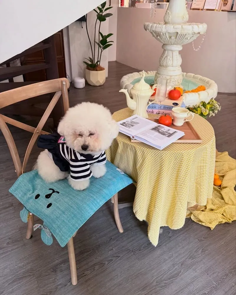 杦窩Jiuwo甜點