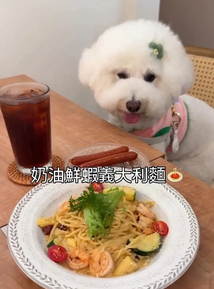 Keeper Brunch桃園早午餐
