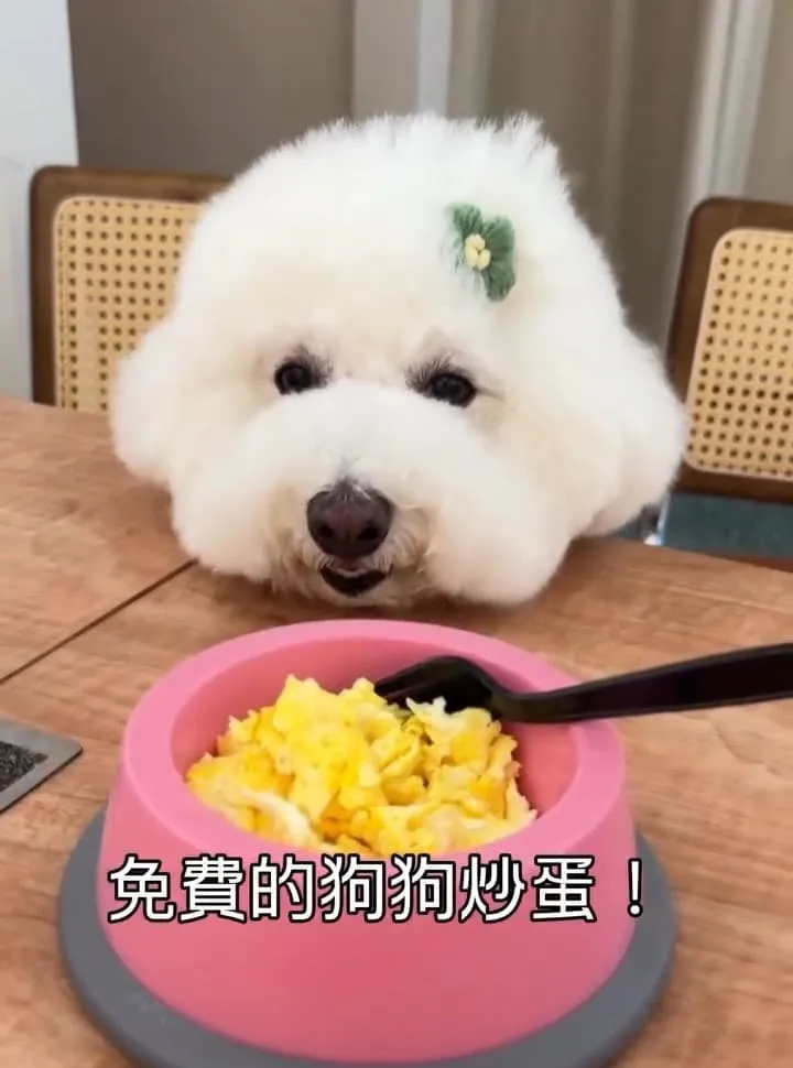 Keeper Brunch桃園早午餐