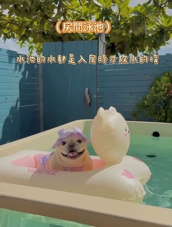 墾丁寵物Villa推薦｜獒游邊境