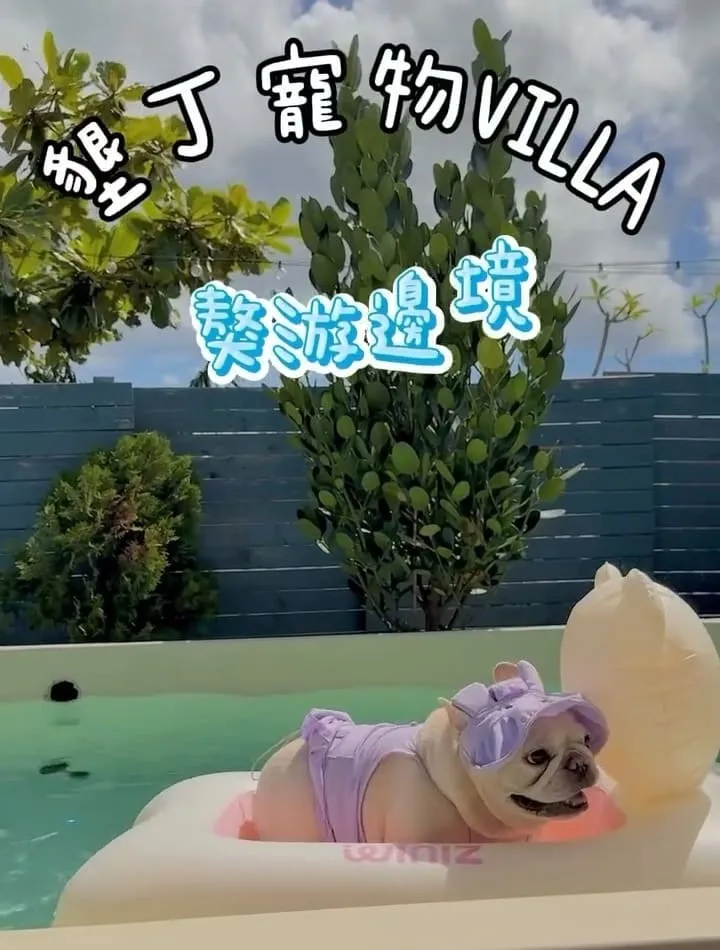 墾丁寵物Villa推薦｜獒游邊境