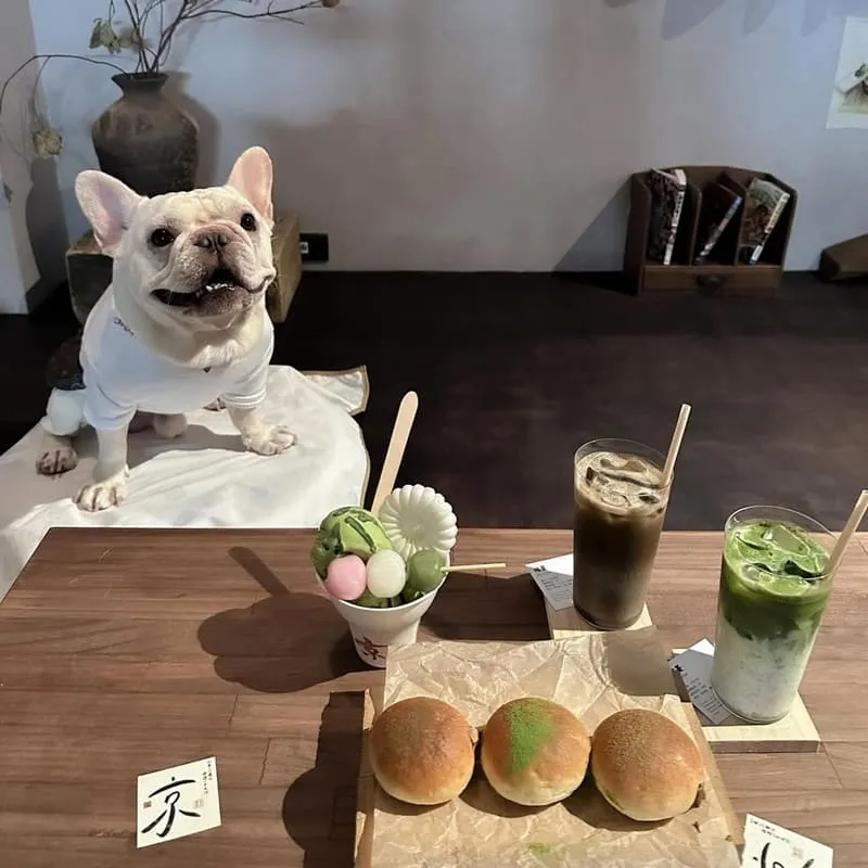 京製茶 Kyo Cha