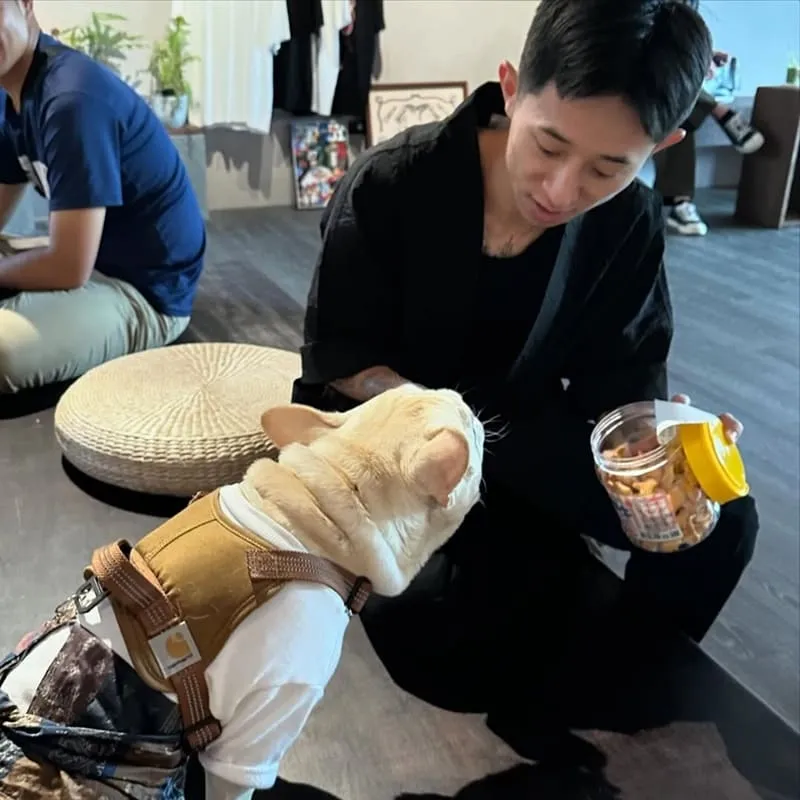 京製茶 Kyo Cha