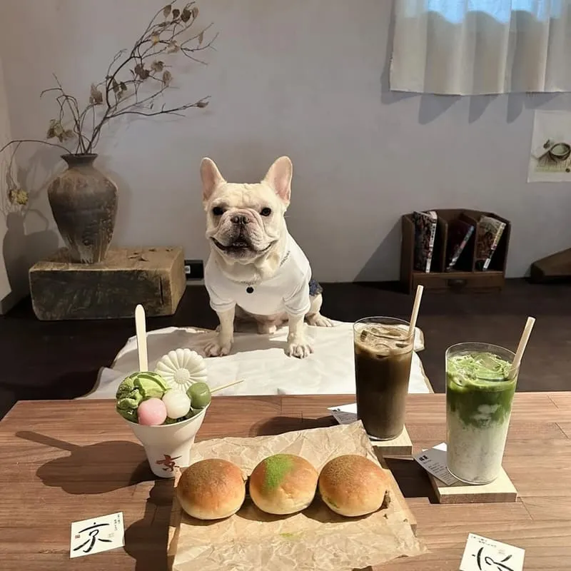 京製茶 Kyo Cha