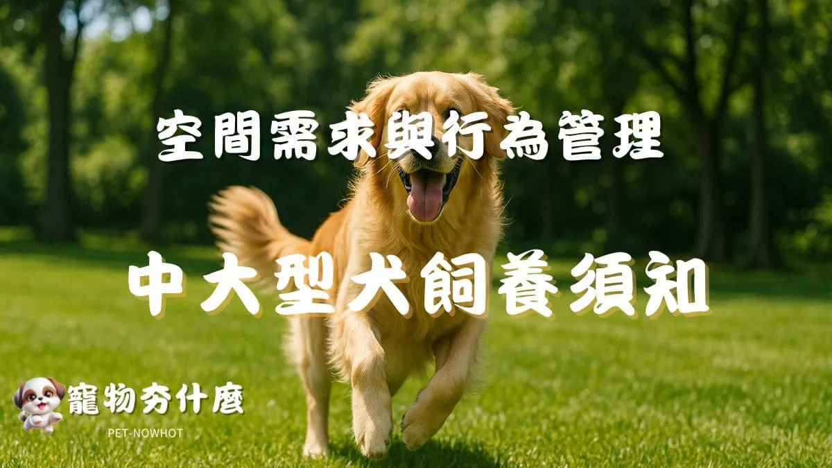 中大型犬飼養須知