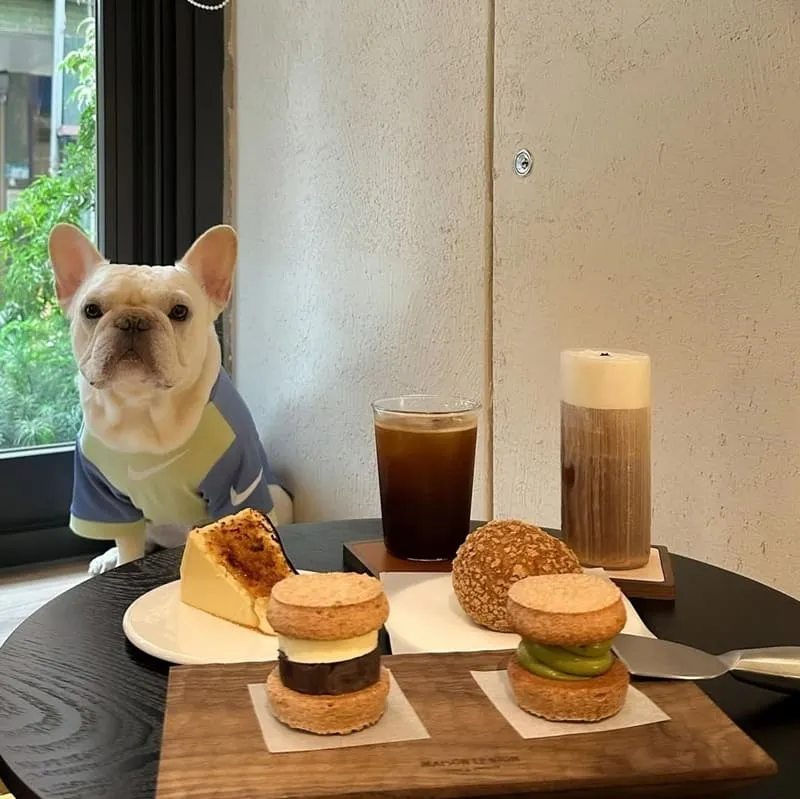 維昂甜點咖啡屋 MAISON LE VION