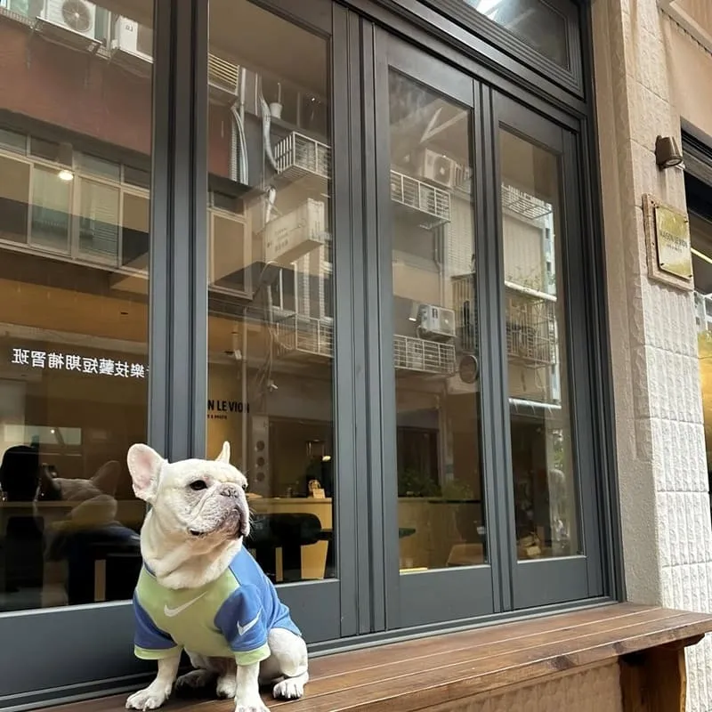 維昂甜點咖啡屋 MAISON LE VION