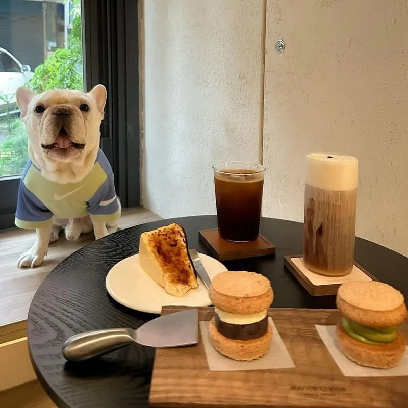 維昂甜點咖啡屋 MAISON LE VION