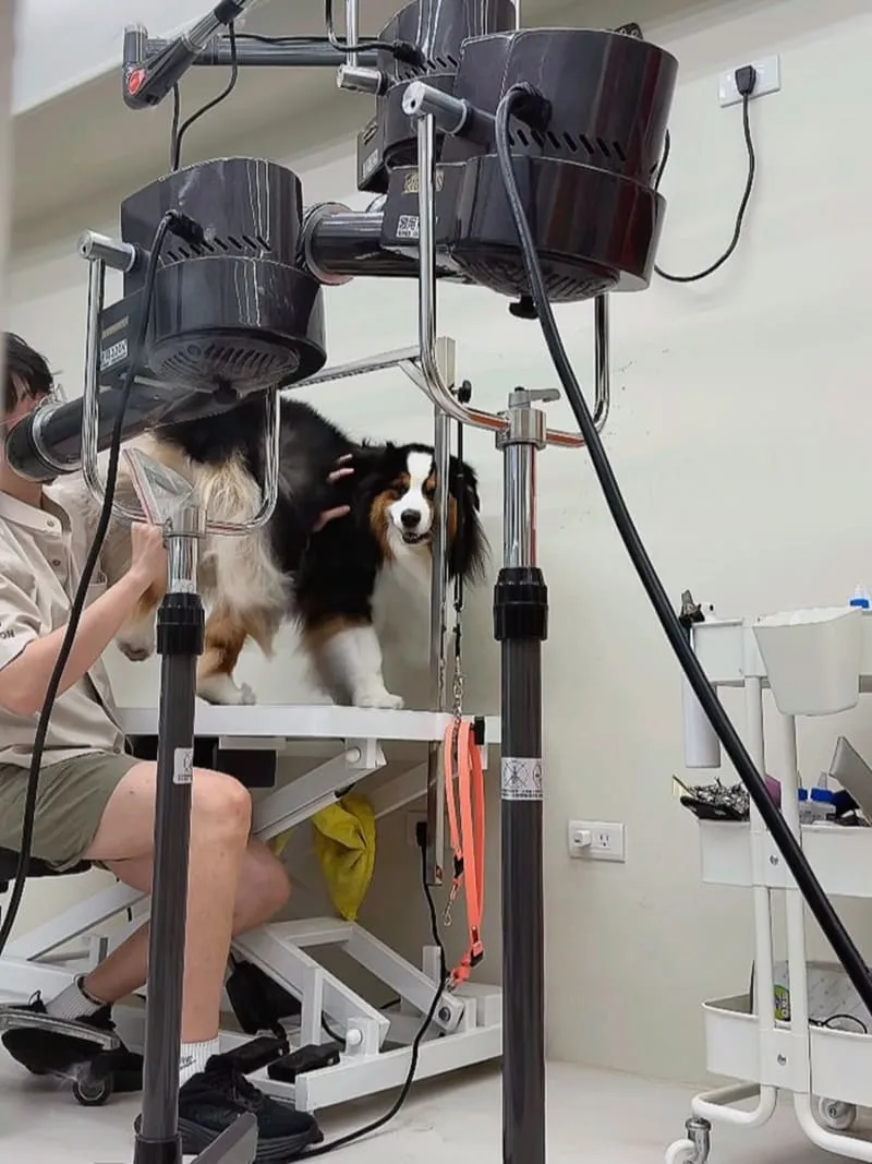米搜寵物MISO PET SALON