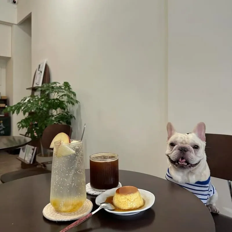 森嶼 Morisland蔬食早午餐