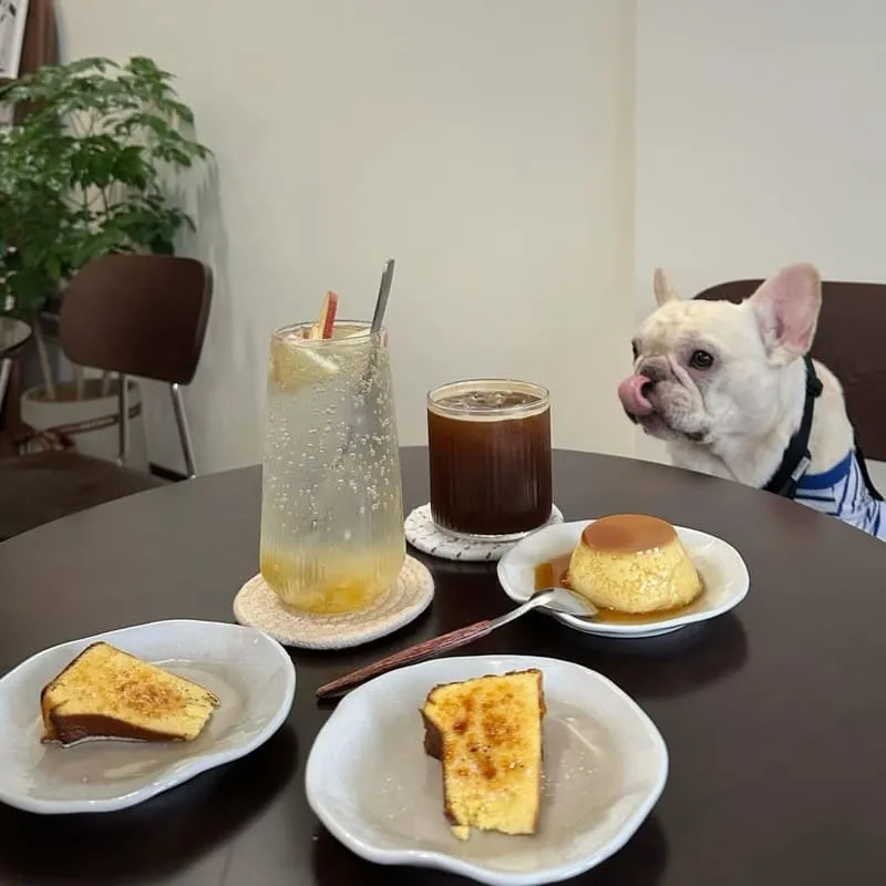 森嶼 Morisland蔬食早午餐