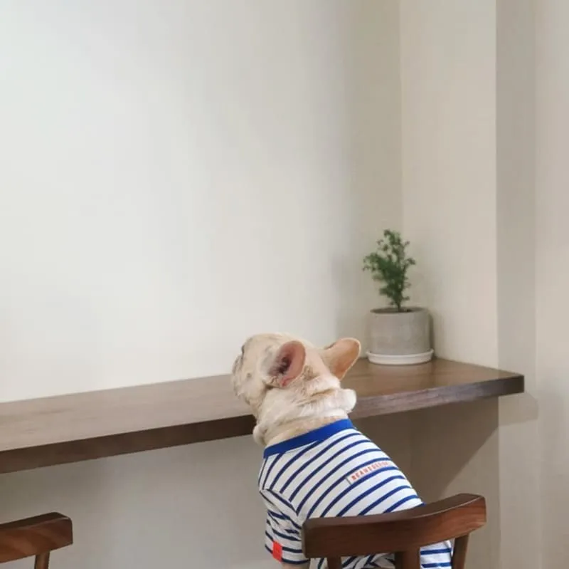 森嶼 Morisland蔬食早午餐