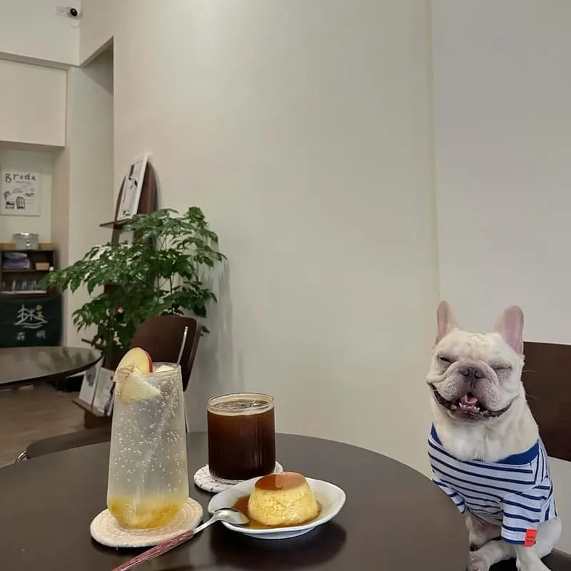 森嶼 Morisland蔬食早午餐