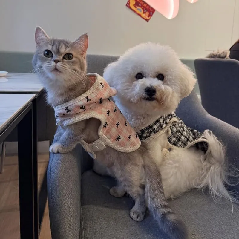 Paws Cafe新莊寵物友善餐廳