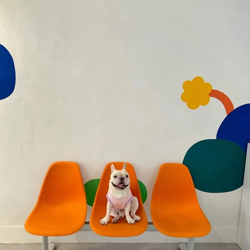 小紅花Cafe早午餐