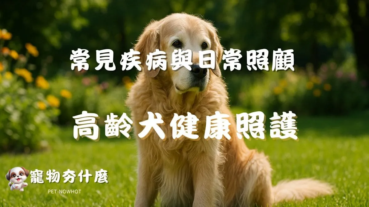高齡犬健康照護