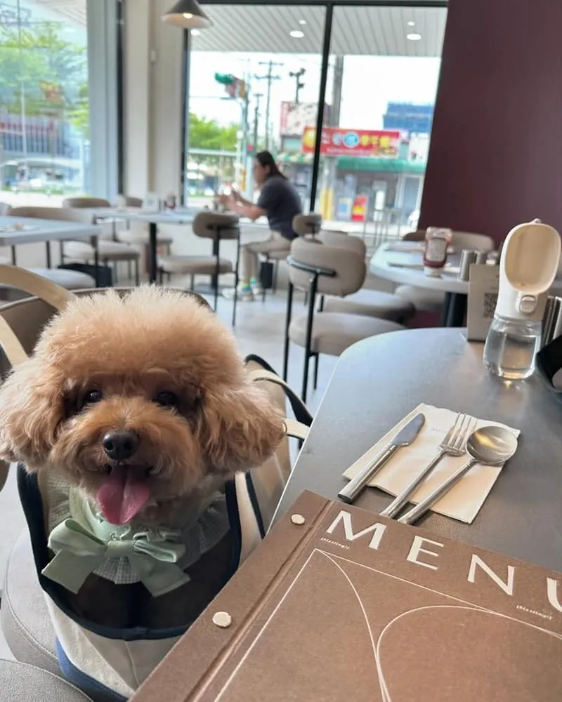 300° STEAK南崁店