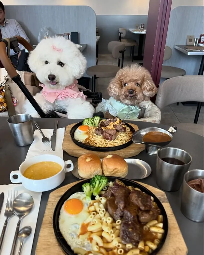 300° STEAK南崁店