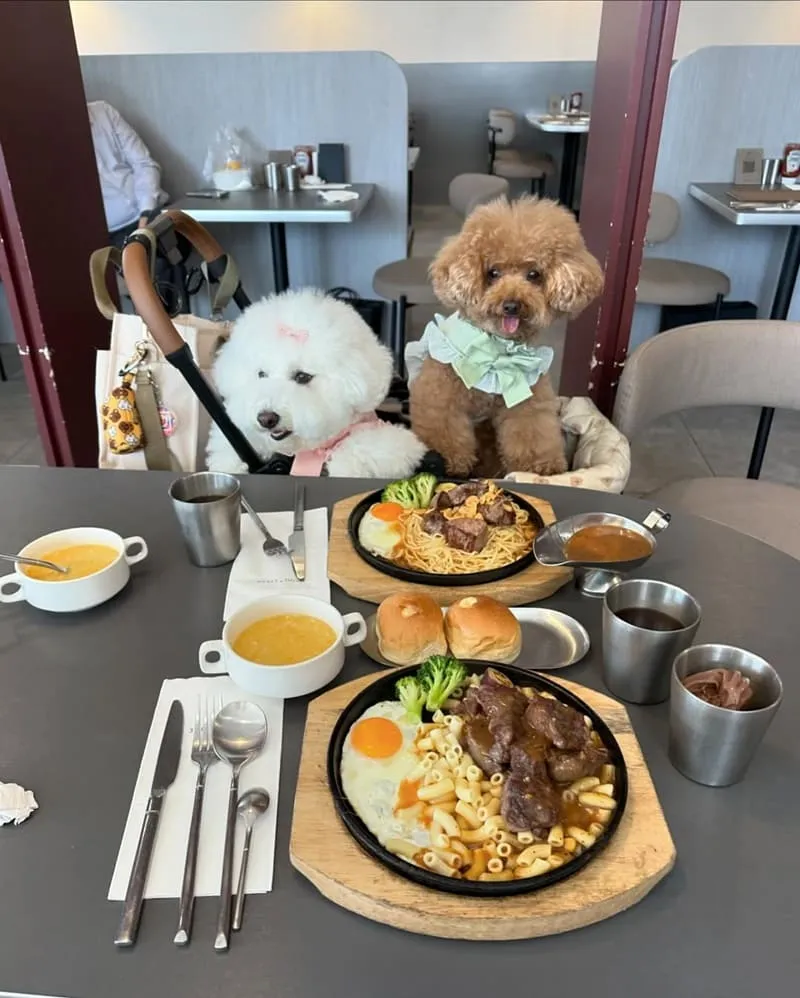 300° STEAK南崁店