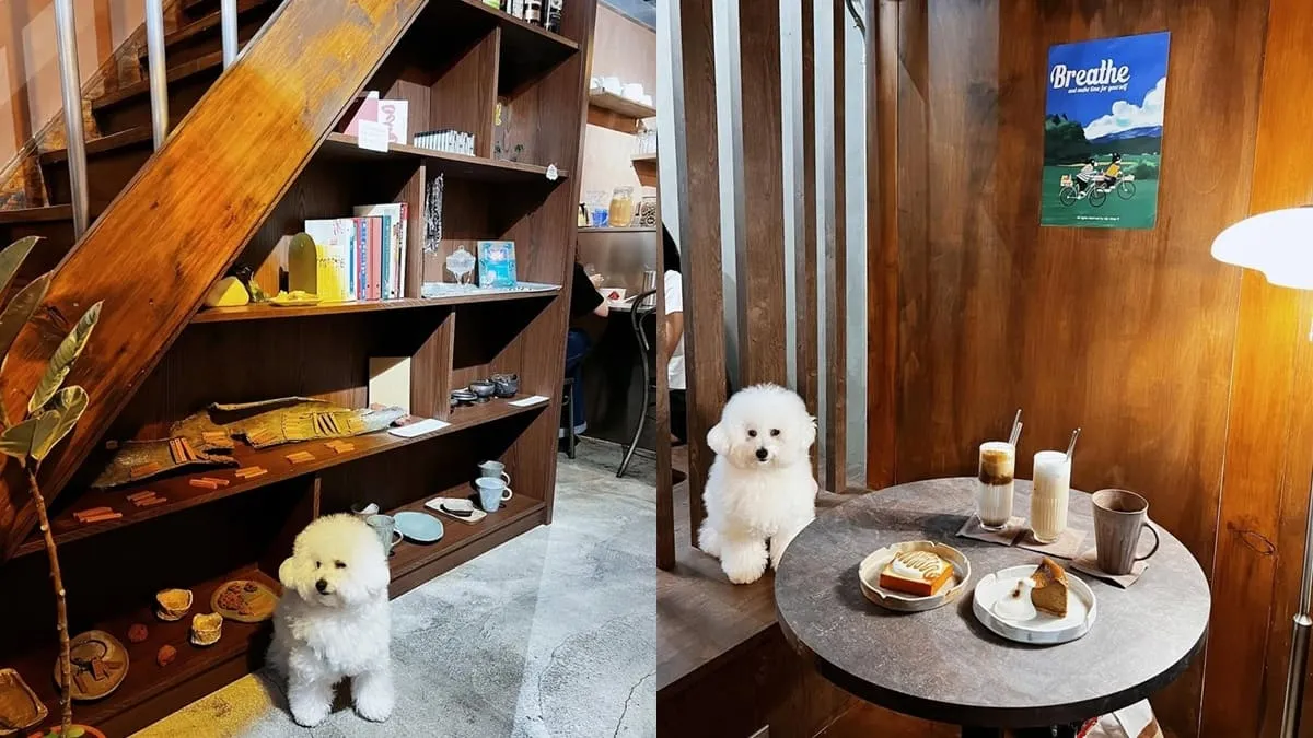 懨懨sān sān 台南寵物友善咖啡