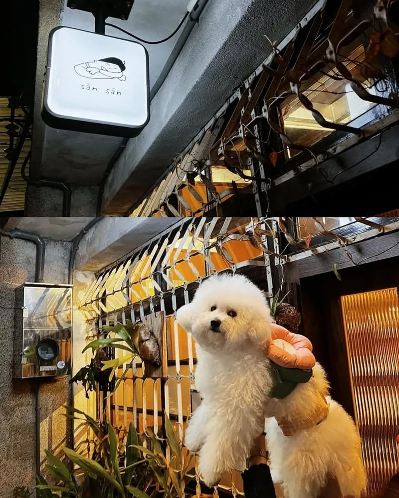 懨懨sān sān 台南寵物友善咖啡