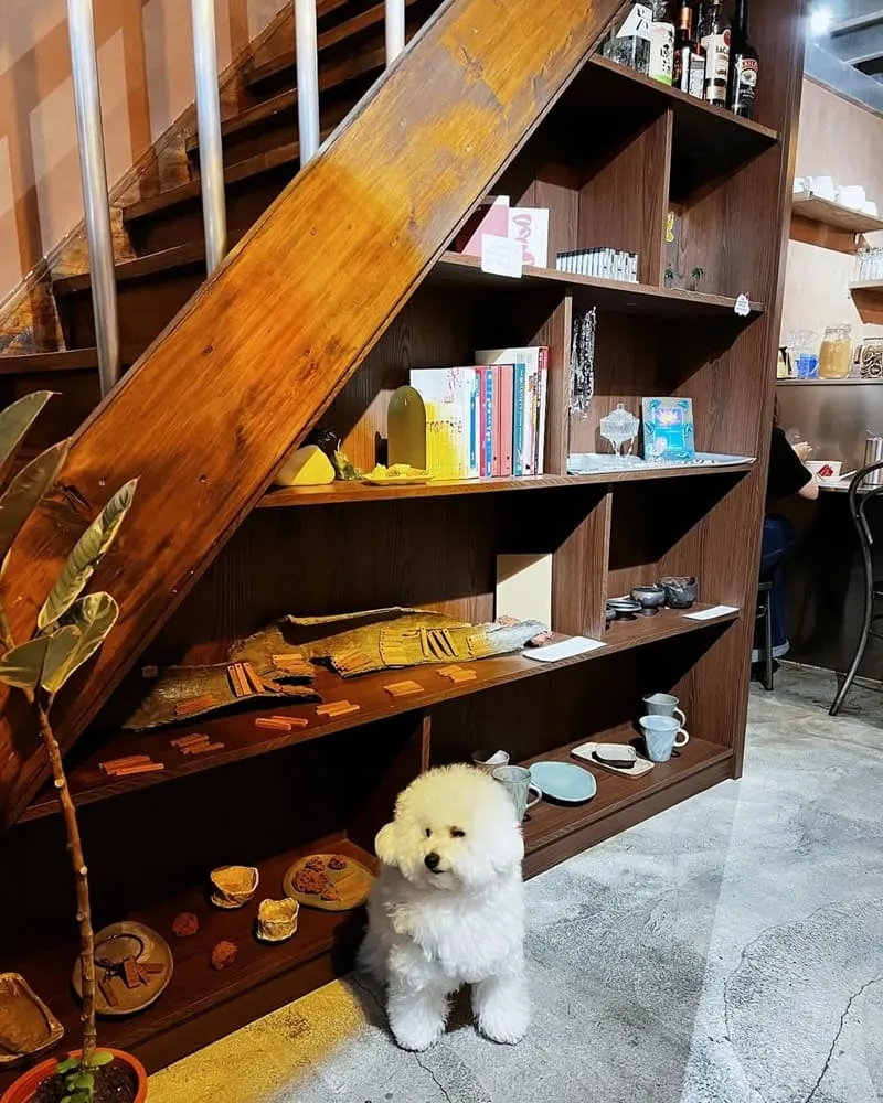 懨懨sān sān 台南寵物友善咖啡