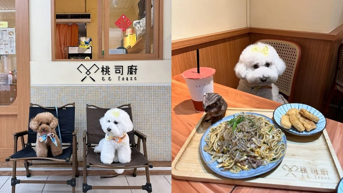 桃司廚藝文店