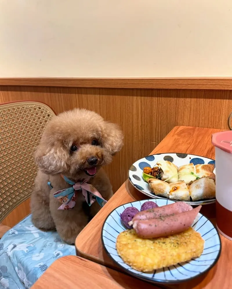 桃司廚藝文店