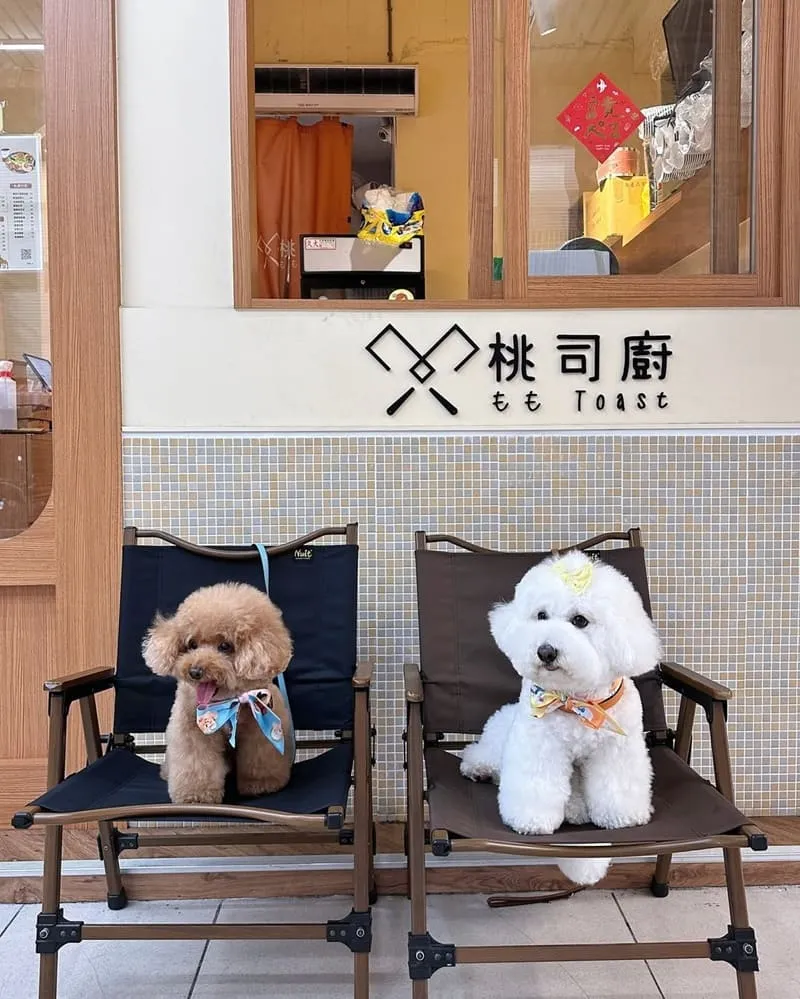 桃司廚藝文店