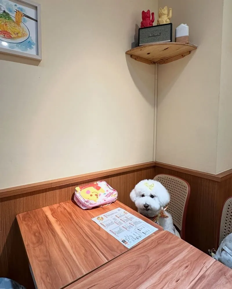 桃司廚藝文店