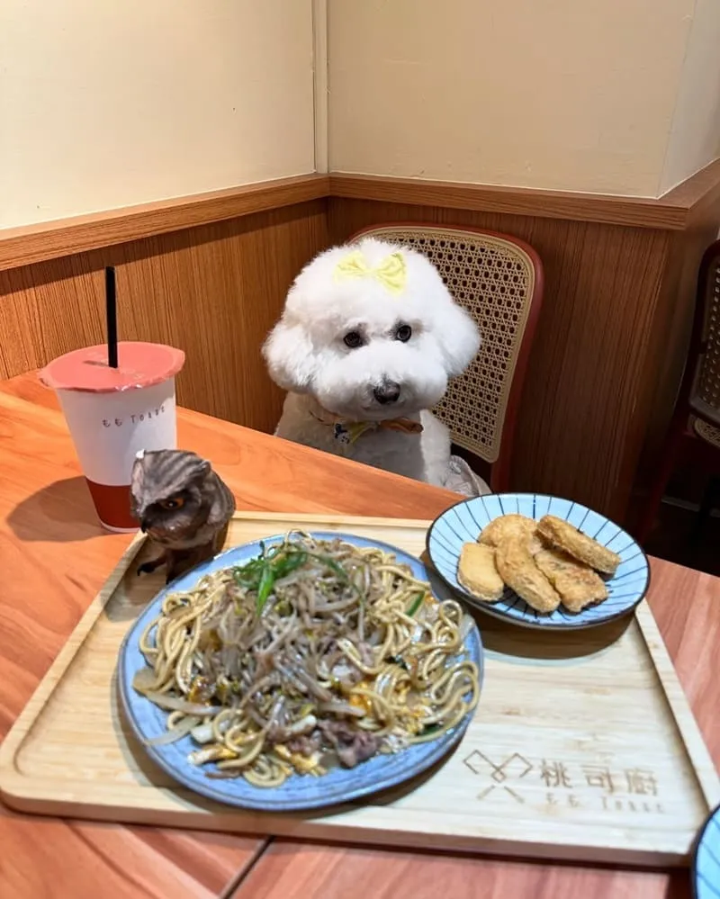 桃司廚藝文店