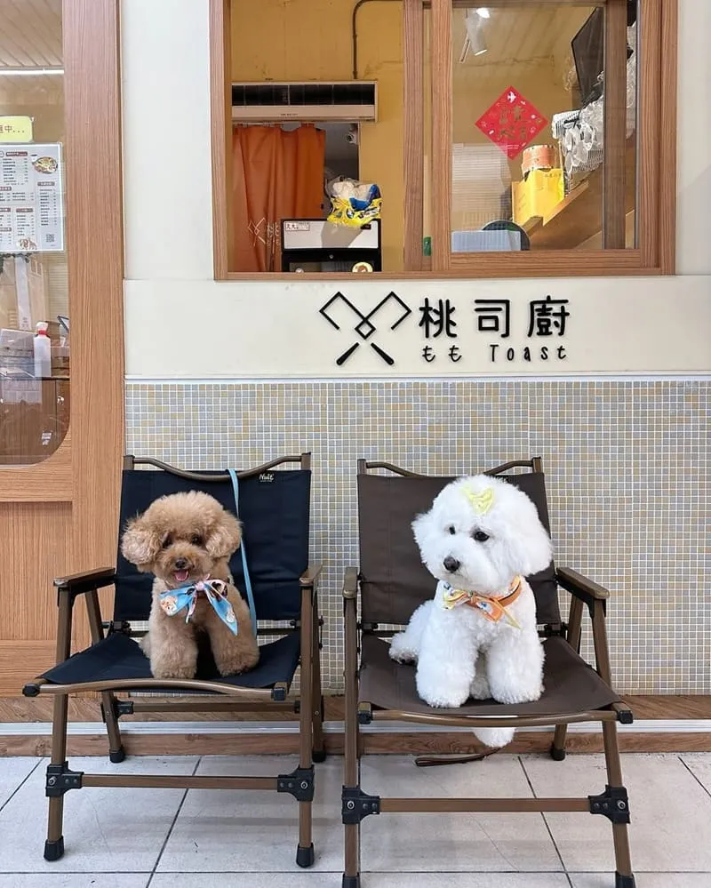 桃司廚藝文店