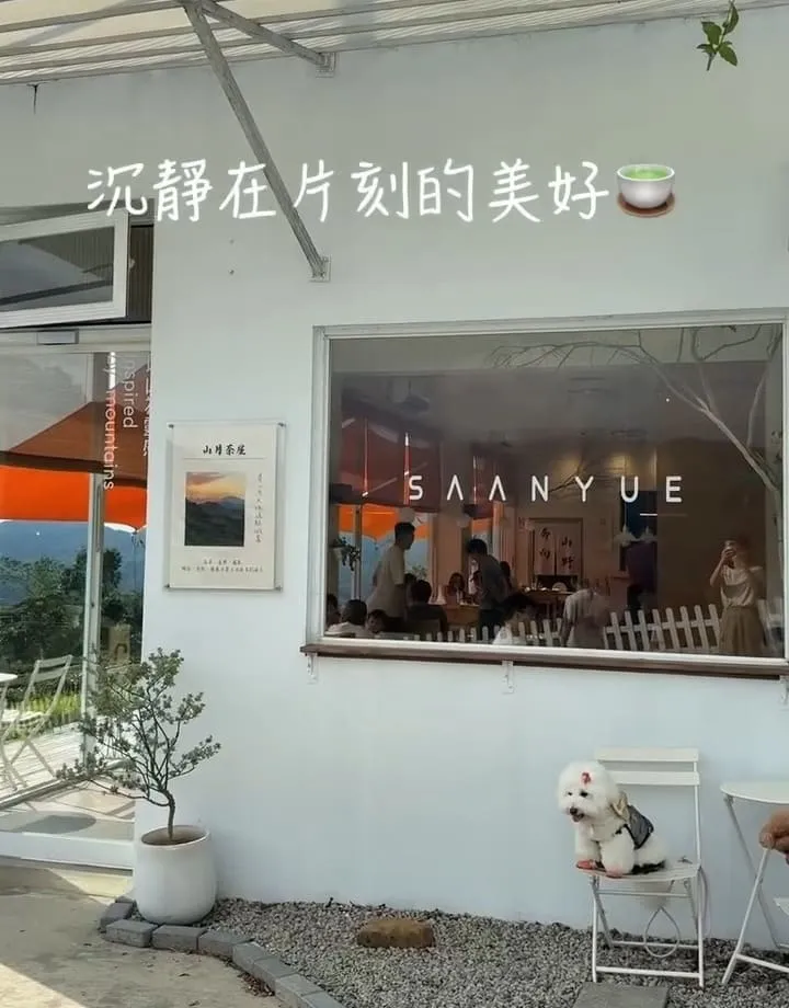 山月茶屋景美山林茶園