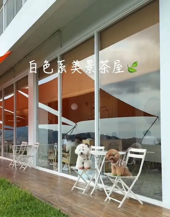 山月茶屋景美山林茶園