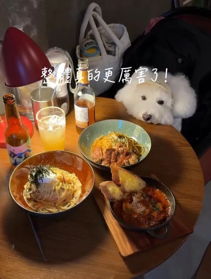 野陌小餐館桃園寵物友善