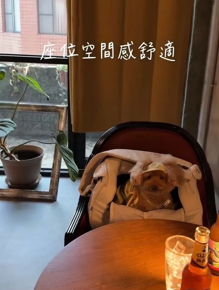 野陌小餐館桃園寵物友善